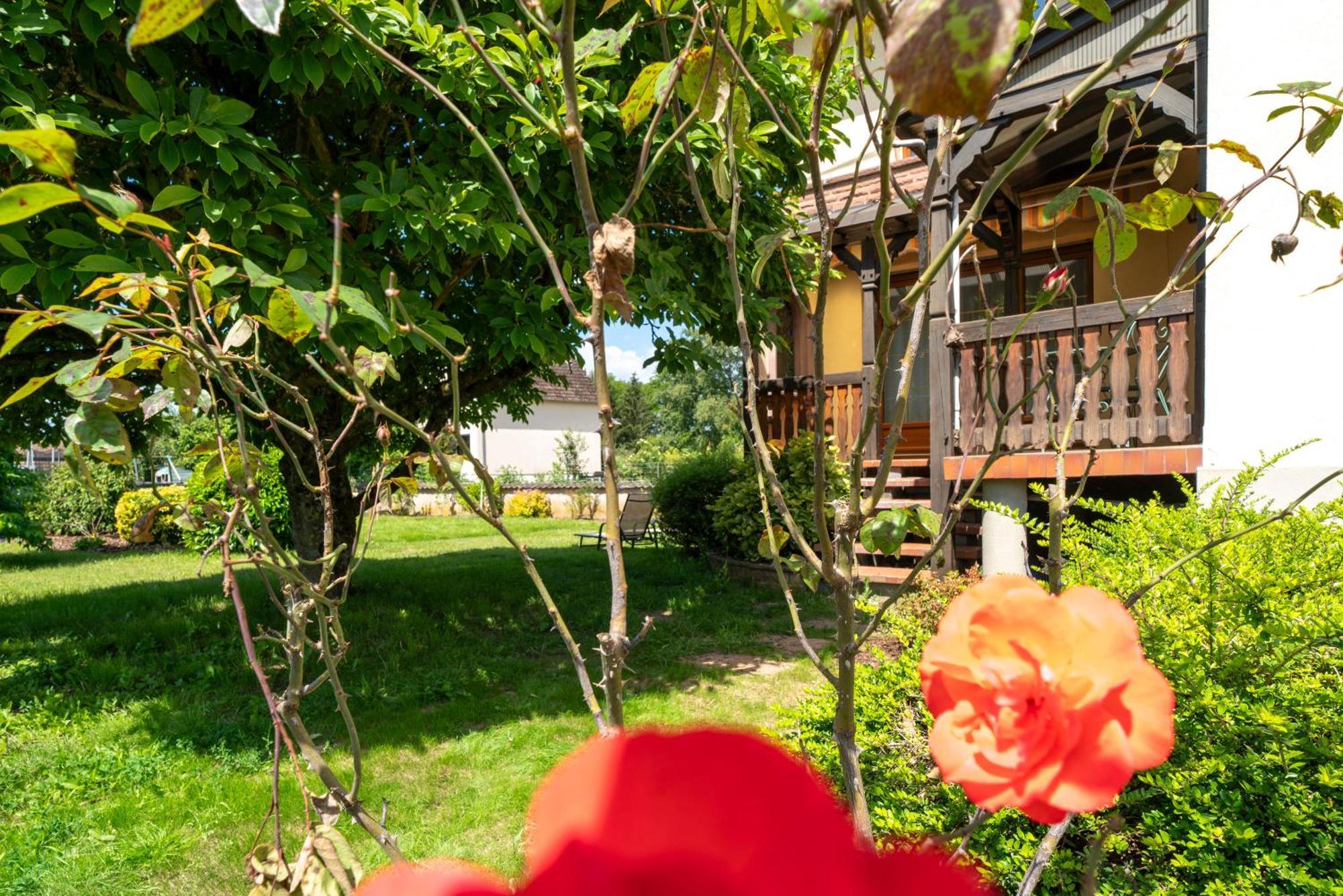 La Clef Des Songes Bed and Breakfast Merzmuhler Eksteriør billede