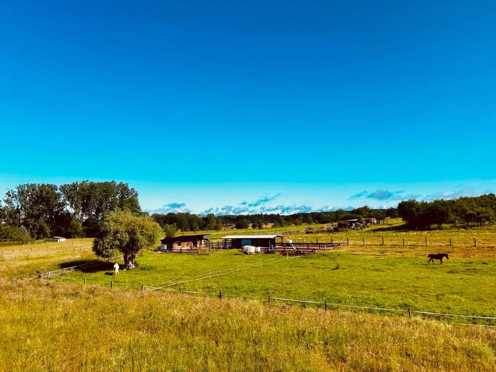 La Clef Des Songes Bed and Breakfast Merzmuhler Eksteriør billede