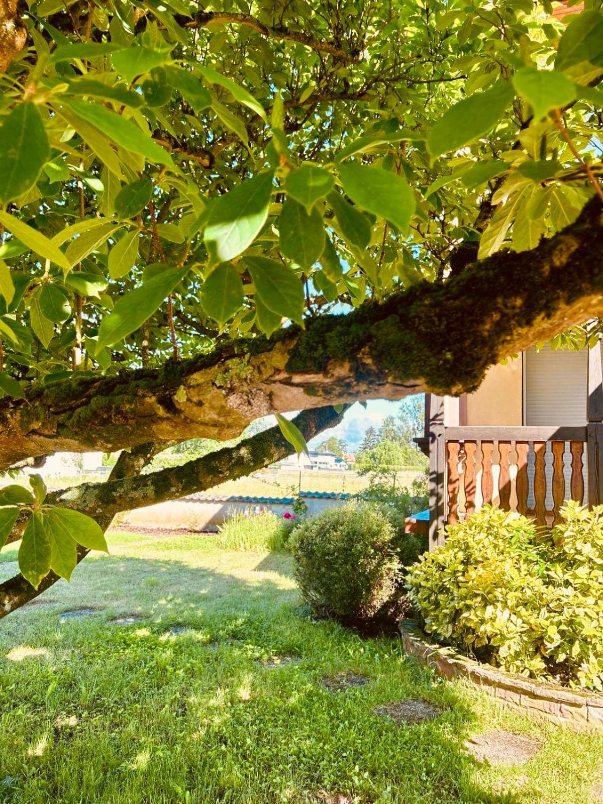 La Clef Des Songes Bed and Breakfast Merzmuhler Eksteriør billede